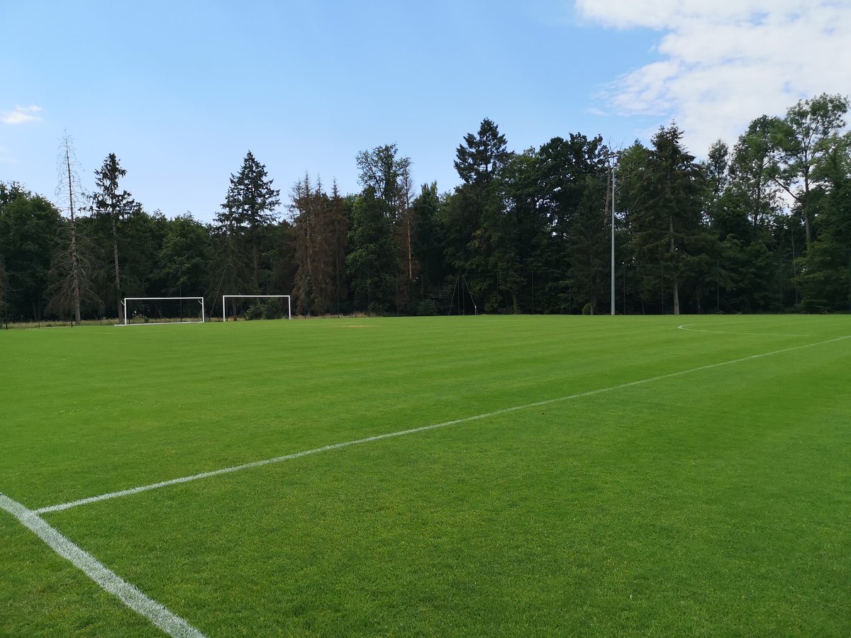 Vous Ne Savez Pas Quoi Faire Cet Apres Midi Venez Assister Gratuitement Au Premier Match Amical De La Teamcssa 17h Selection Ile De France Scout Events Centre D Entrainement De Montvillers Buvette Pour