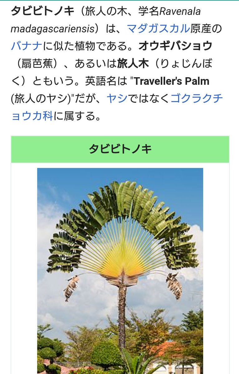 まさぷ on Twitter: