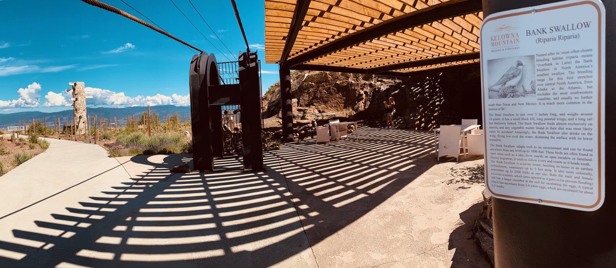 kelownamountain's tweet photo. #kelownamountain #kelownamountainbridges 10-5 Saturday’s and Sunday’s during July and August. ⛰🦌🌿🌤 #KMBV Team https://t.co/vLtOAdchZh