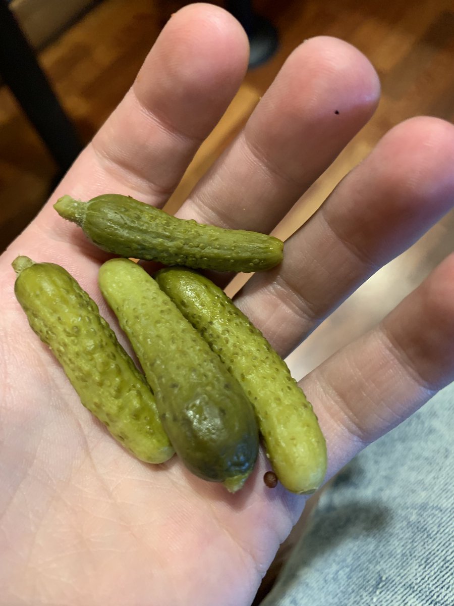 just harvested a beautiful patch of pumpkins