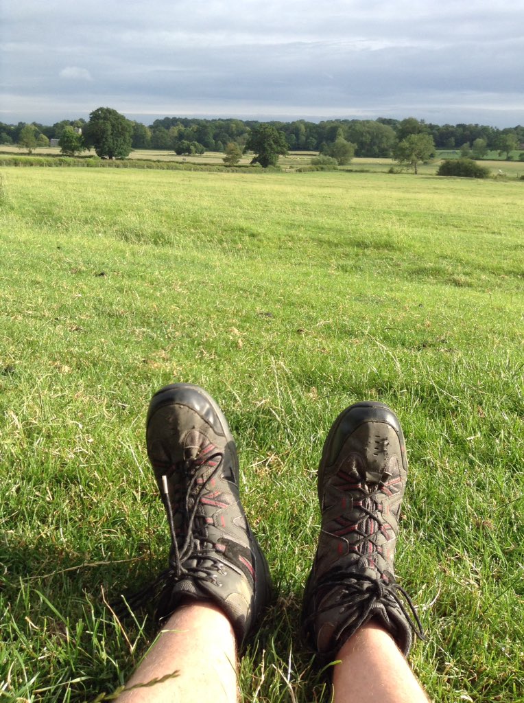 Tim_Hannigan's tweet image. #postconference