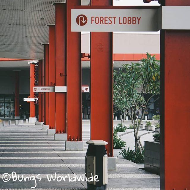 Run forest...! Run..! #BungsWorldwide ift.tt/2XtPVgH