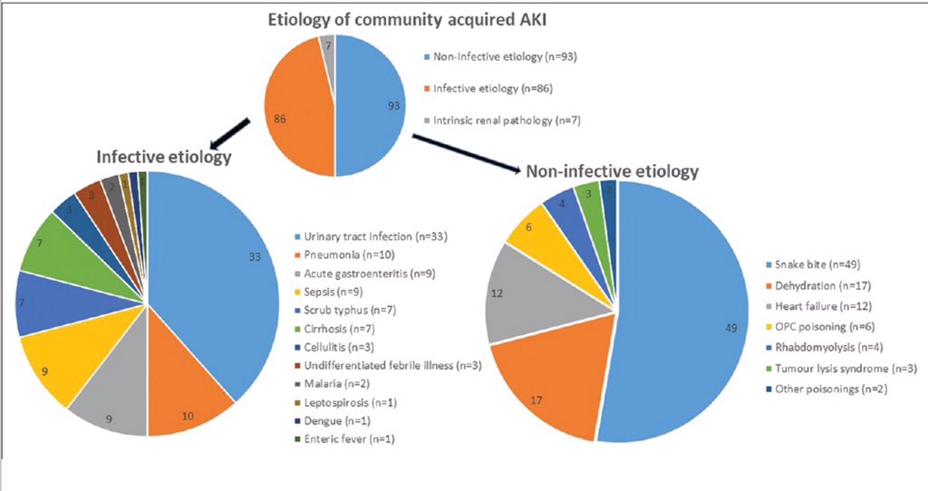 @JipmerNephro 186 CAAKI over 17 months (surgical, obstetric & HAAKI excluded). 
Most common cause - #SnakeBite (26%). 
2nd most common cause - #UTI (17%), only 30% had DM. 
So many CAAKI from A/c PN by MDR E. Coli in pts without risk factors is a cause of concern. 
Mortality 15% overall.