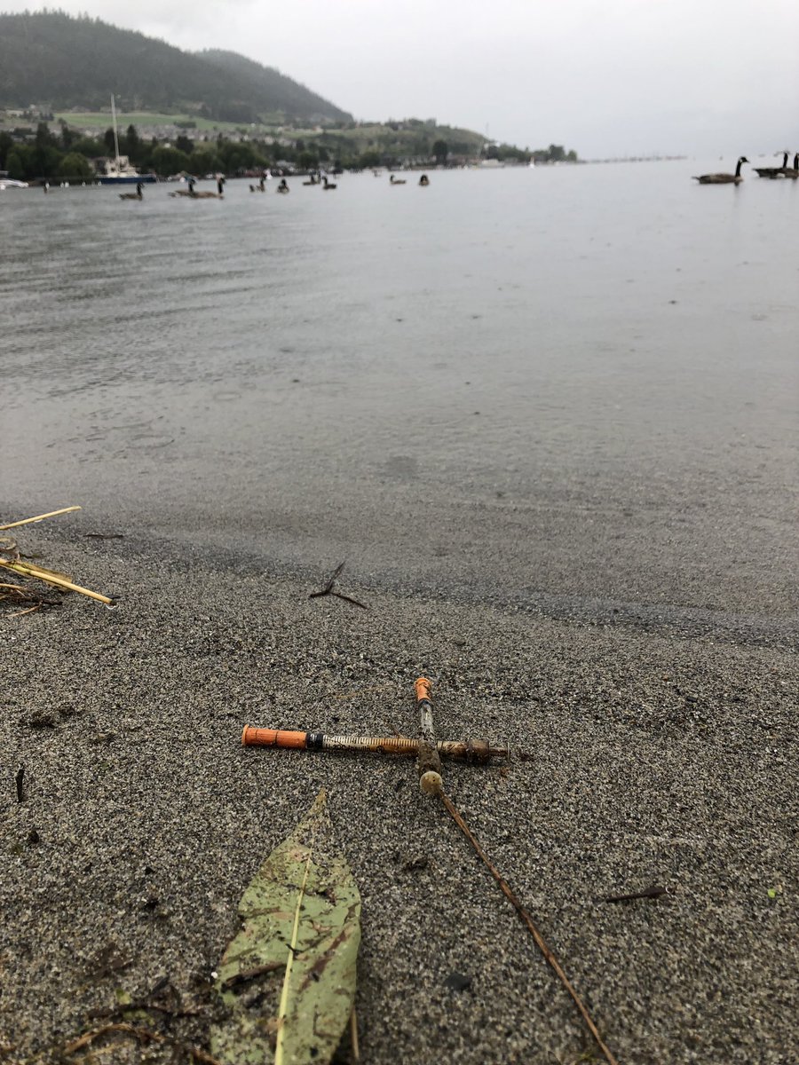 RuralAnge's tweet image. 3 things I discovered on my dog walk; syringes on local beach, woman living in her car at a park  &amp;amp; a homeless guy living in a tree #welcometoVernonbc #itsnotsafe #CBC #GlobalNews #inmyhood #howdoIhelp #lakeshorepark
