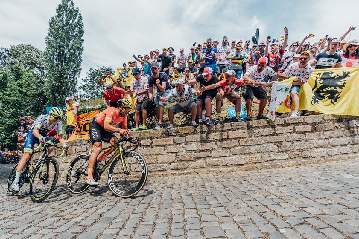 Greg Van Avermaet tweet media