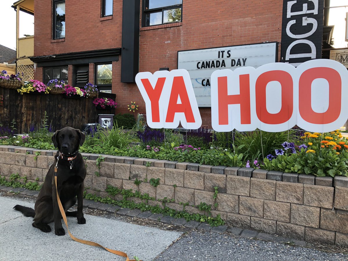 Fernie’s ready for Stampede and first vegan stampede breakfast!