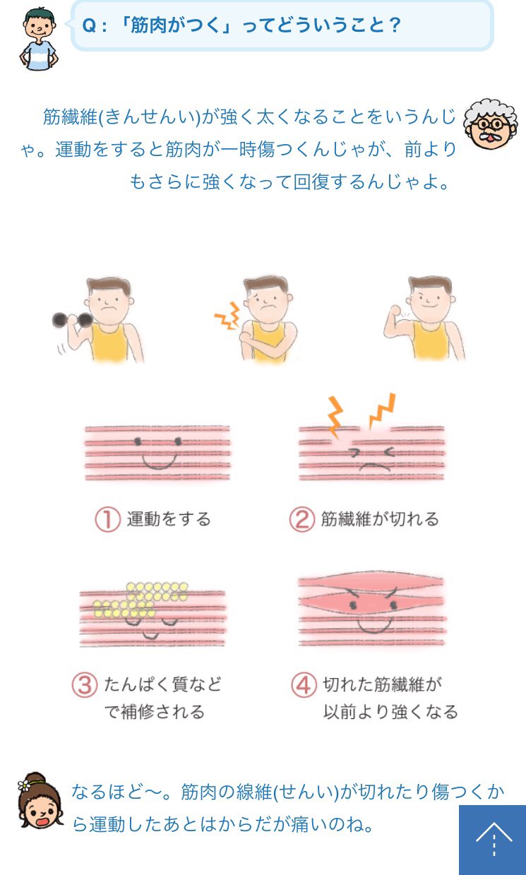 あかね Akane 9680 در توییتر ねぇ 知ってる 運動すると 筋繊維が切れるんだけど 傷ついたところは補修されて 以前より強い筋肉になるんだよ 負けは 修復されて 必ず次にまた以前より 強くなれるってこと 紫紺の次の笑顔を待ってる W 引用