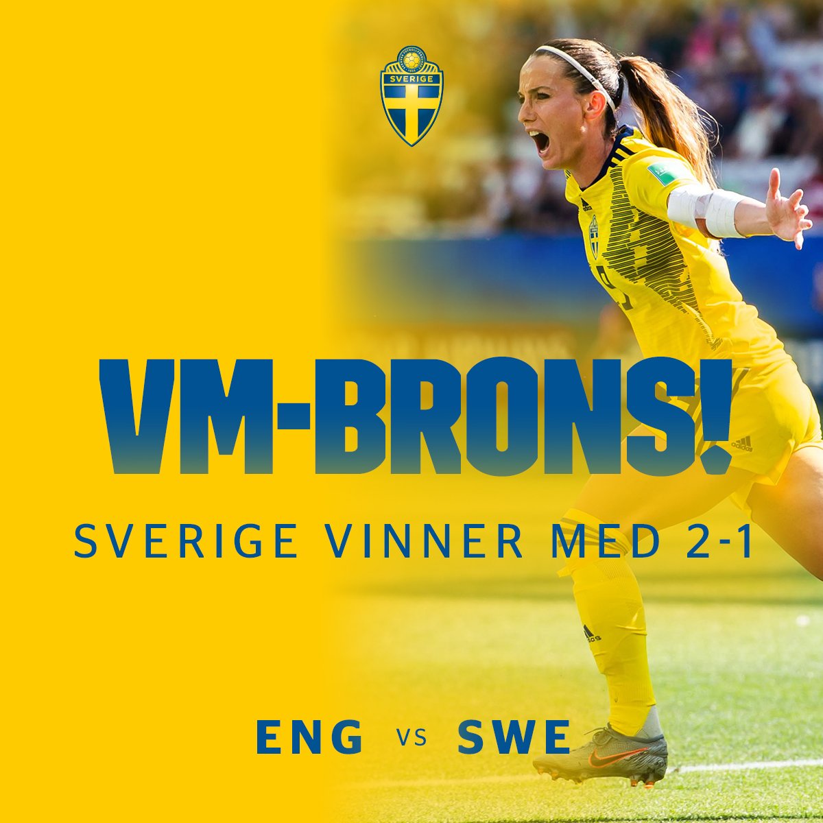 Svensk Fotboll tweet media