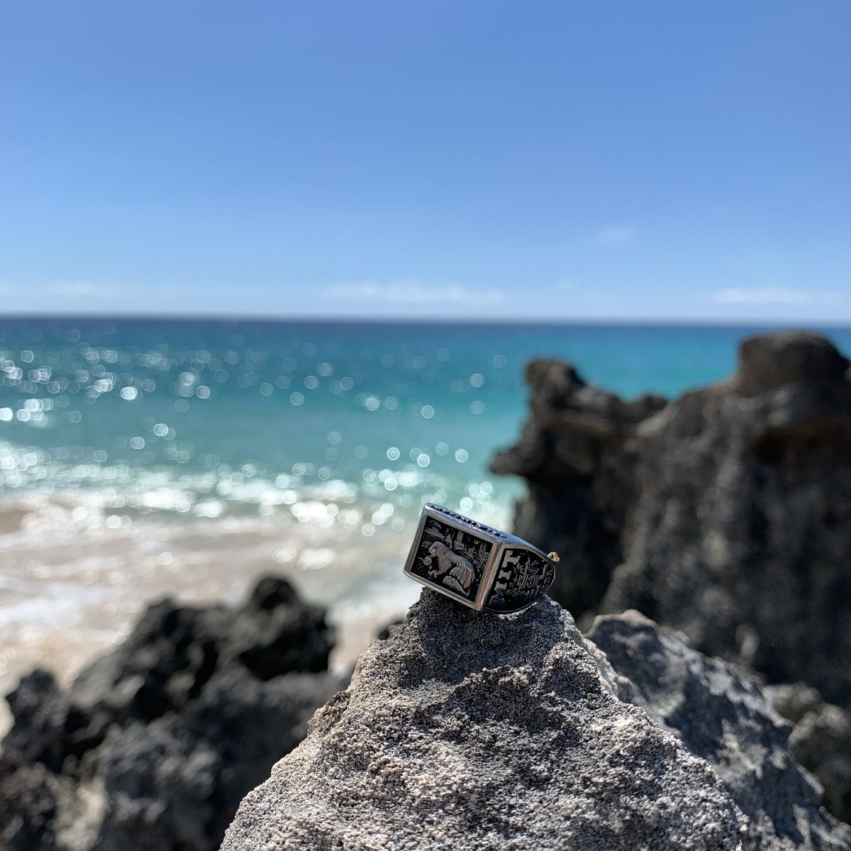 N2Boston's tweet photo. The rat in Bermuda.
.
.
.
#cocoreef #bermuda #brassrat #gradrat #massachusettsinstituteoftechnology https://t.co/ByZvXQ9ktx