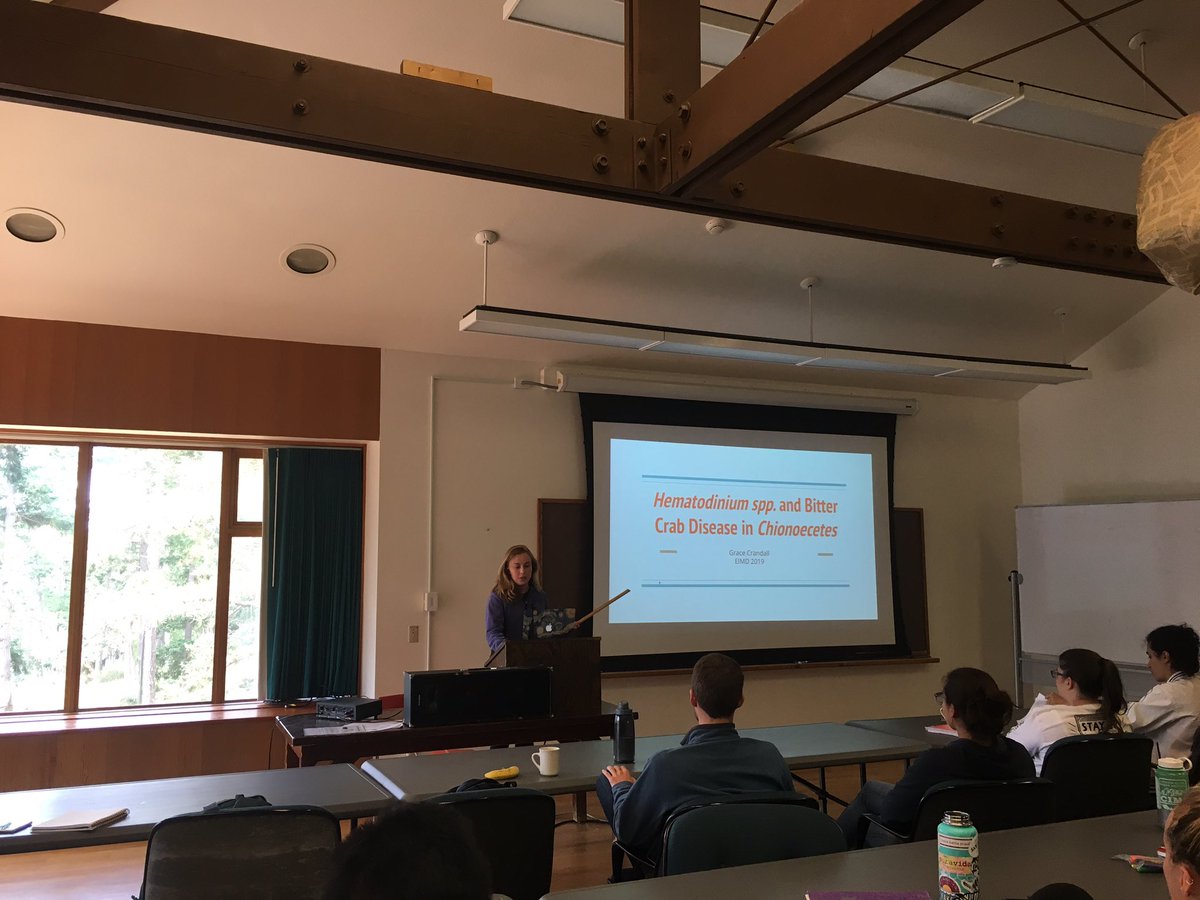 More #EIMD2019 presentations! @SymbiontSwanger explored parasites that cause leopard shark strandings, @stoops_mrk discussed Leptospirosis in sea lions, and @Grace_CranAlan talked about bitter crab disease.