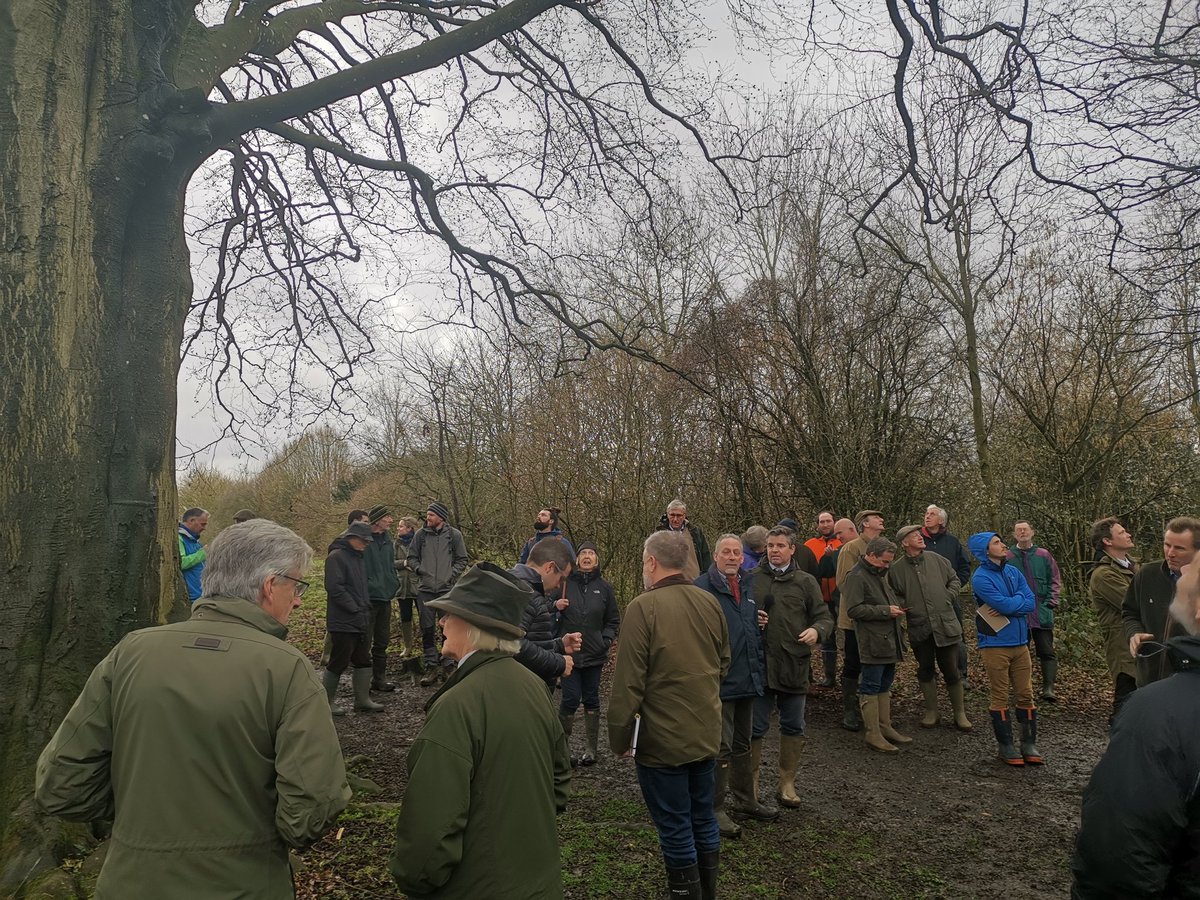 Time to get outside and look at @Sparsholt_Coll Ower Wood and how it is being managed. #teachingresource #naturalcapital #woodlandmanagement #environment @CLASouthEast @LockhartGarratt @andy_poynter @robinedwardscla