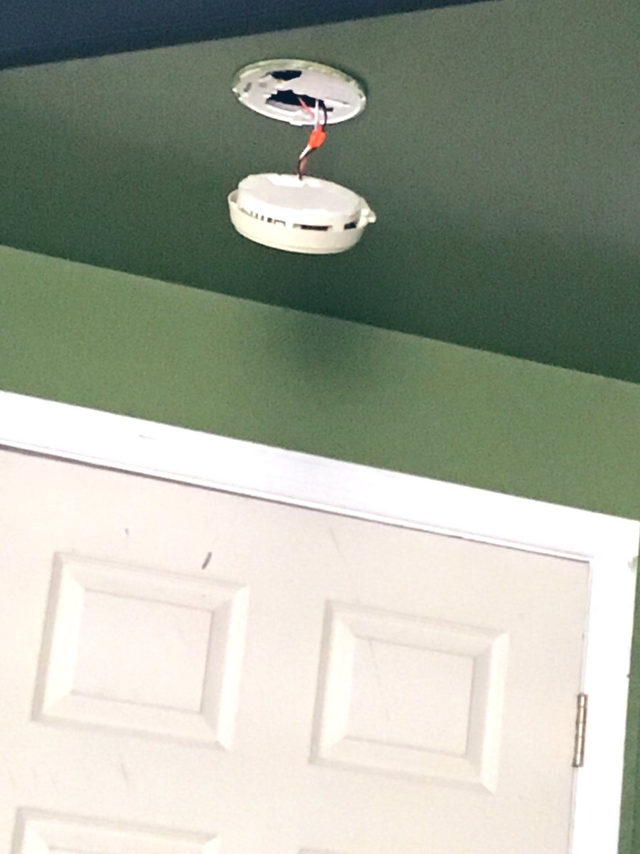 nashainreallife's tweet image. My landlord needs her ass whipped this is what I awoke to this morning blaring in my damn ears. #tenantproblems #humpday #morningtweets