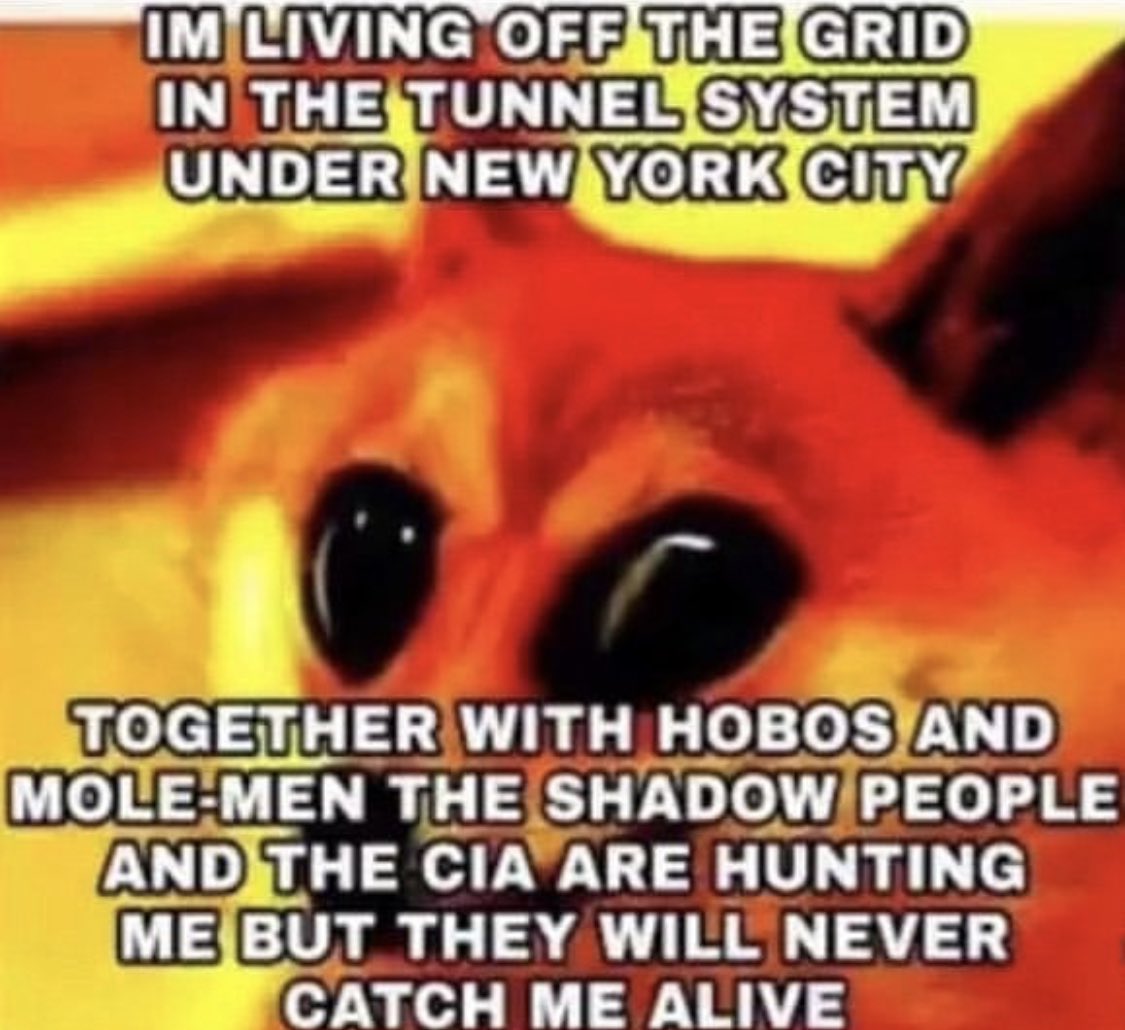 dogeposting's tweet image. 