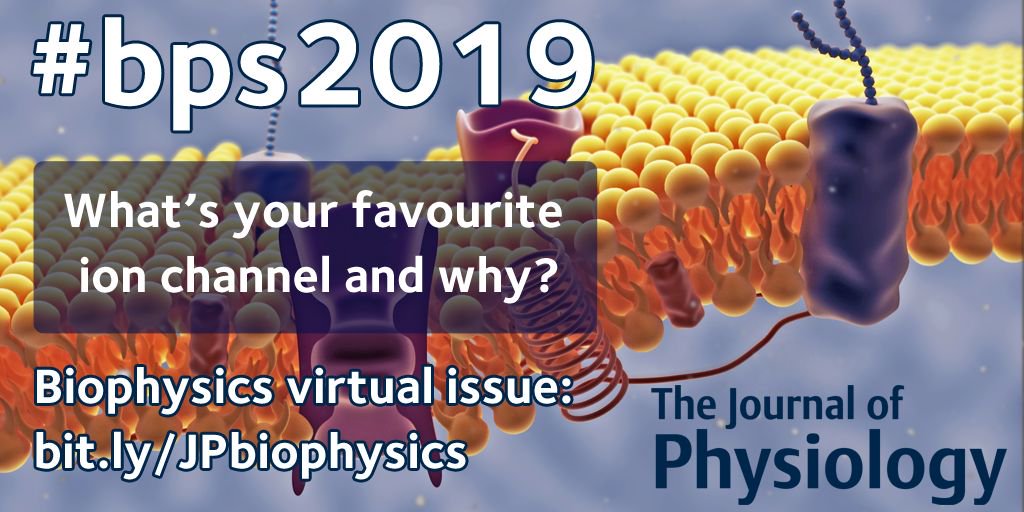 JPhysiol's tweet photo. When it comes to ion channels which one best describes you? We would love to hear from you! #bps2019 #biophysics #bps19 https://t.co/XUn0ogQol9 https://t.co/ZEZ6XjiQh8