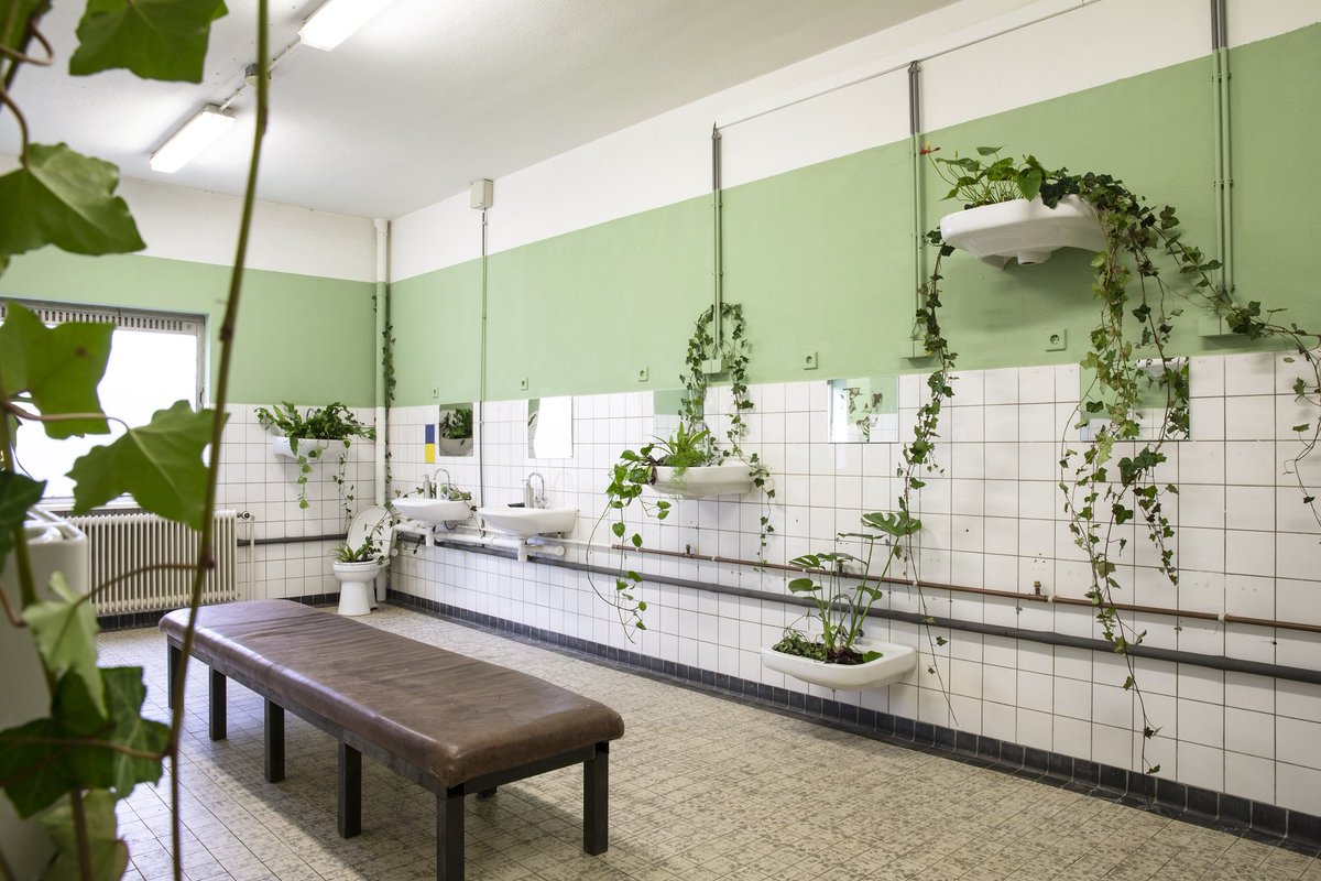 Een gewoon, simpel bezoekje aan het toilet? ECHT NIET. Tijdens de verbouwing waren er heel veel wasbakken en toiletpotten over. En wat doe je daar nou mee? Gewoon aan de muur hangen en vullen met planten dus. Ook deze planten komen uit het plantenasiel🌿🌱

#degroeneafslag