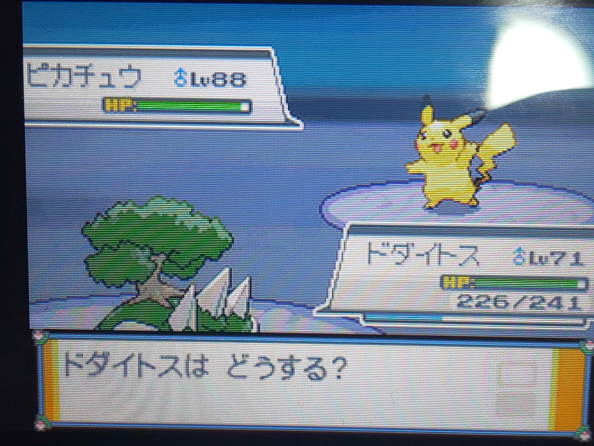 海斗 フォロー外してください レッドと最初やったときはめっちゃ強かった ピカチュウlvでしかもボルテッカー持ちてs D゚ S D゚ 笑笑 今は慣れてる笑笑 ポケモンハートゴールド ソウルシルバー 海斗 フォロー外してください レッドと最初やったときはめっちゃ強かった ピカチュウlvでしかもボルテッカー持ちてs D゚ S D゚ 笑笑 今は慣れてる笑笑 ポケモンハートゴールド ソウルシルバー