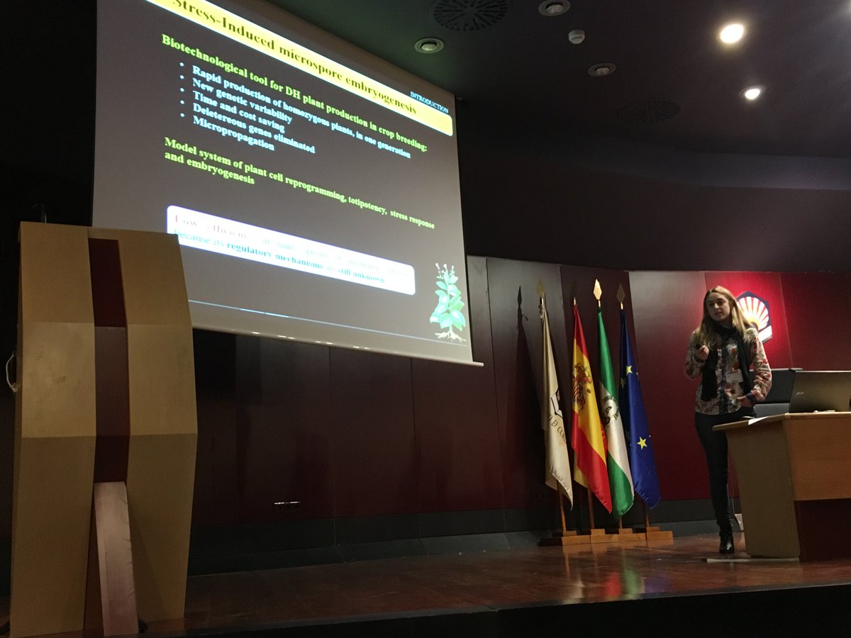 Yolanda Pérez from <a href="/CIB_CSIC/">CIB Margarita Salas (CSIC)</a>: Auxin plays a key role in microspore embryogenesis for doubled-haploid production and breeding of barley. #SEFIMEC2019