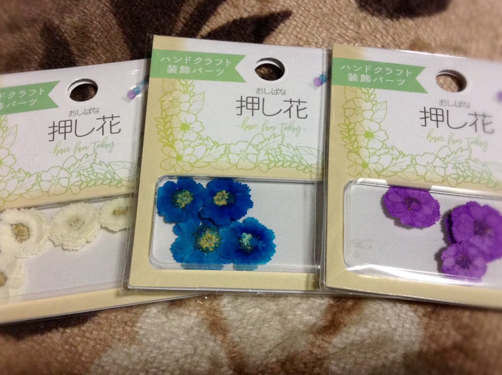 ゆずぽん ハンクラ垢 セリア の新商品にクラフト用パーツとして押し花が出てたよ わしが見たお店では泰山木の葉 デイジー 菊の3種 各4色があった 平ペったいから立体的なかすみ草とかに背景として重ねれば奥行が出せるかも 艸 既出かもです ゆずぽん ハンクラ垢 セリア の新商品にクラフト用パーツとして押し花が出てたよ わしが見たお店では泰山木の葉 デイジー 菊の3種 各4色があった 平ペったいから立体的なかすみ草とかに背景として重ねれば奥行が出せるかも 艸 既出かもです