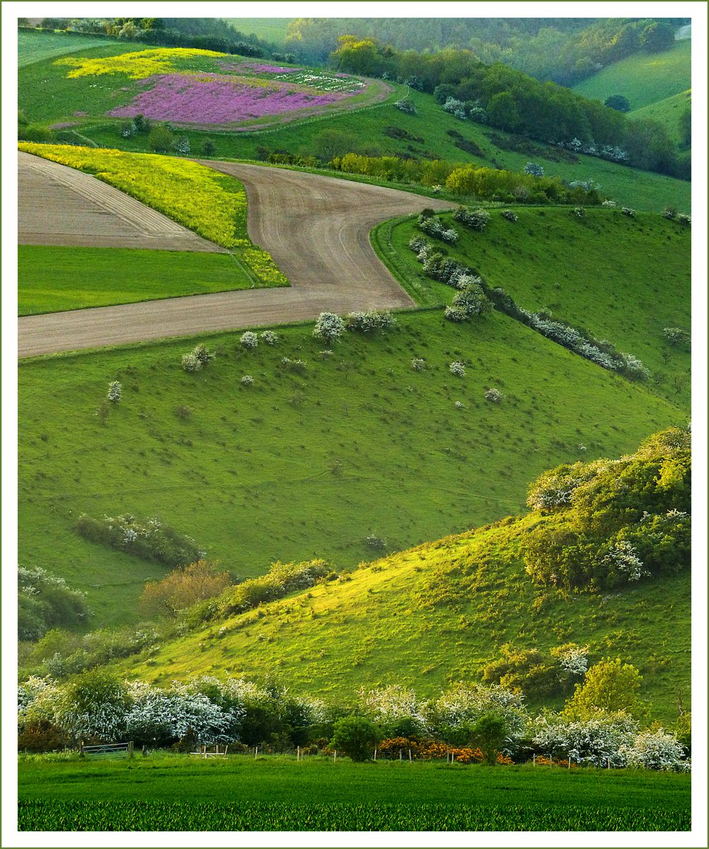 Fancy a change of scenery? Why not stay in the landscape that inspired David Hockey’s stunning collection of Yorkshire Wolds paintings, currently on view at the <a href="/vangoghmuseum/">Van Gogh Museum</a>?

Discover more:bit.ly/2OfNuJV