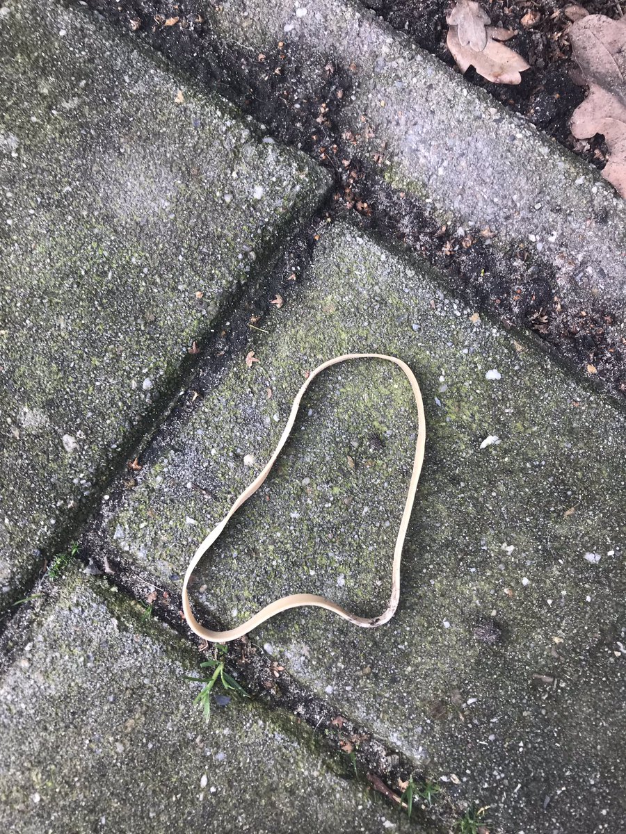 CZappoz's tweet photo. Wanneer vind ik nou eens een #elastieken #zwerfie waarbij #Limburg wel herkenbaar aanwezig is? #Litterati https://t.co/I0vY1dJ1Th