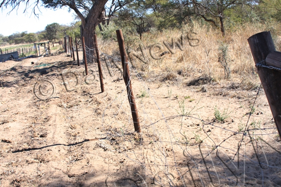 BWGovernment's tweet photo. ELEPHANTS TERRORISE GUMARE FARMERS |Some farmers in the periphery of Gumare have complained about the excessive damage caused by elephants in their crop fields.
#BatswanaFirst #HumanWildlifeConflictIsReal ๐ https://t.co/d2mrk3oMcW