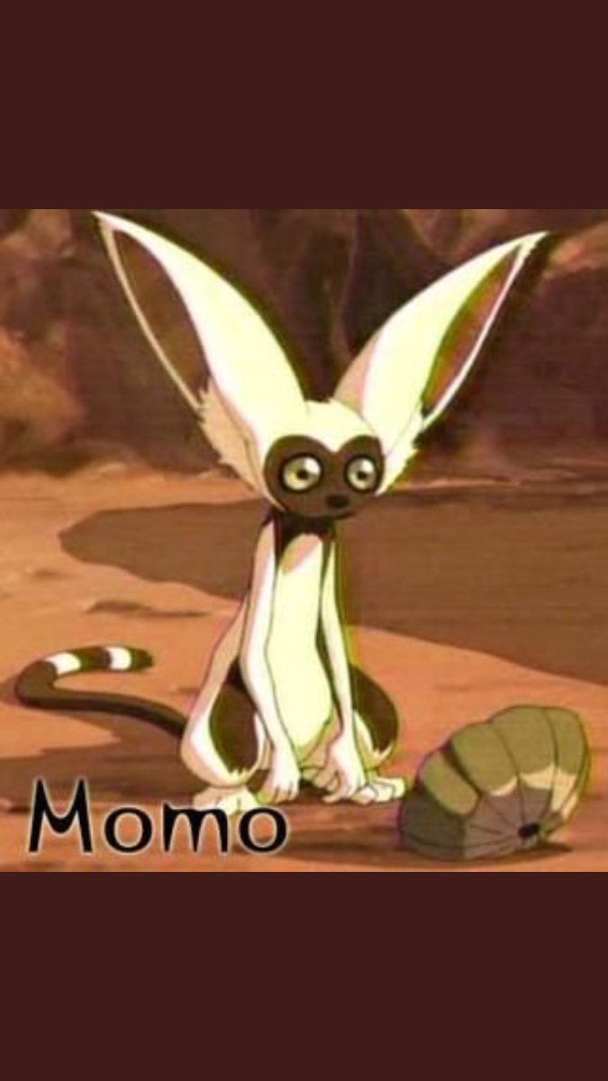 Момо аанг. Момо аанг. Аватар анг момо. Момо аанг. Момо аанг.