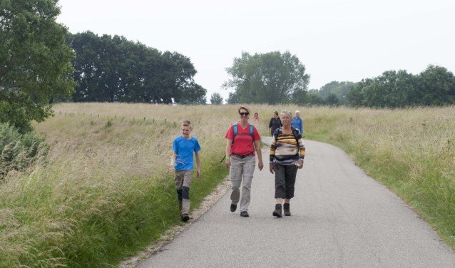 RegioOss's tweet photo. De Maasdijk krijgt op zondag 16 juni tweede wandeldag  -  https://t.co/wHLcrGxL1O https://t.co/ByOXV8WrBS