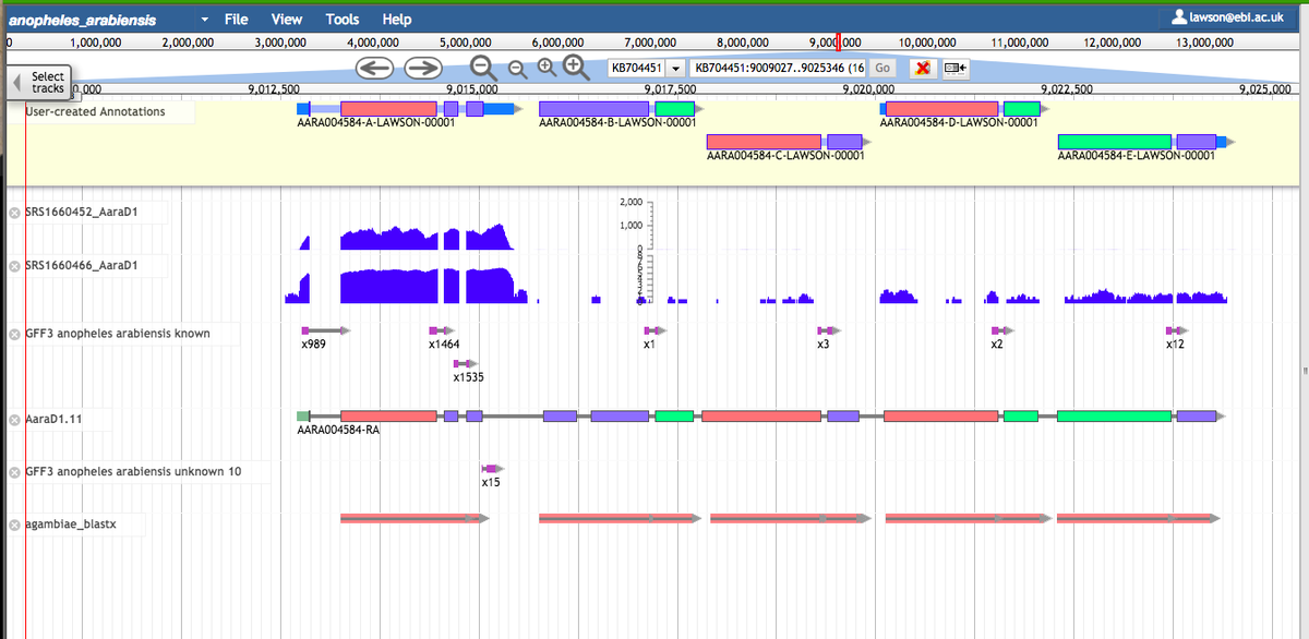 VBannotator's tweet image. Still finding merged predictions like this. Chaperonin and 4 ionotropic receptors from #Anopheles #arabiensis. All introns supported by aggregated #RNAseq junction counts. #VBannotation