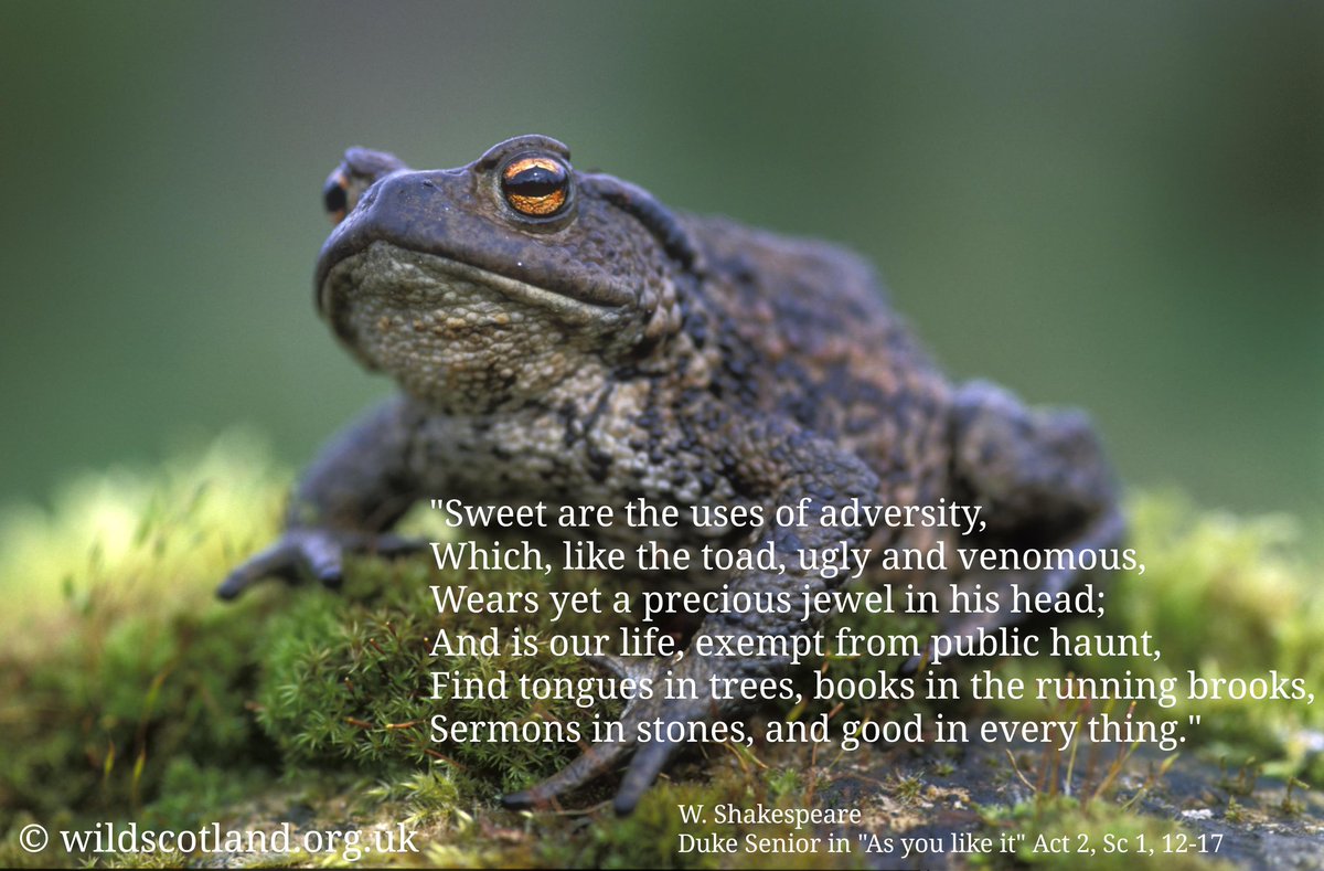 JulieSchubert6's tweet photo. Struggling to get my head around my 2nd #assignment so shortly after #placement Turn to my comfort zone, just quickly to #liftmyspirit Anyone else in same position @ #uoded have this to keep you going ☺ Watch the raindrops falling into puddles & smile. https://t.co/210zATsc7t