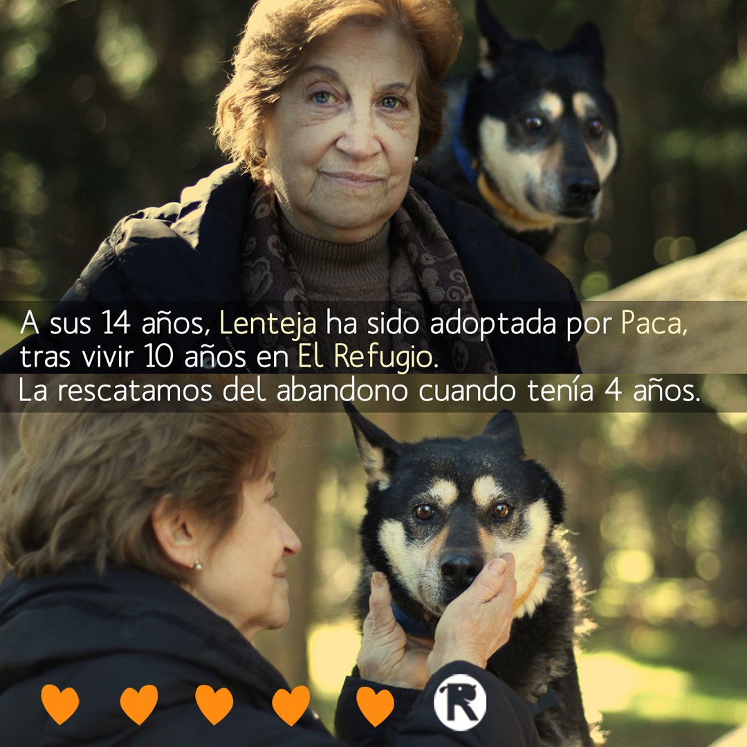 el_refugio's tweet photo. #10YearChallenge
¡¡LLEVABA 10 AÑOS ESPERANDO SER ADOPTADA: HA OCURRIDO!!
Si quieres ver el momento de su adopción, aquí: https://t.co/zhsk8oDfjc https://t.co/vEolVTG2A2