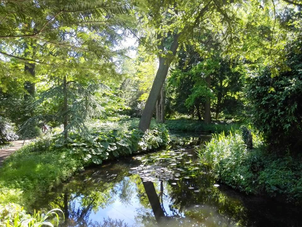 Groene_agenda's tweet photo. Nieuw: de gratis #wandelapp voor tablet of telefoon! Deze #wandelroute neemt je mee langs de highlights in de tuin #Schoonoord vertelt meer over de historie en de unieke beplanting. Downloaden via de #AppStore of #GooglePlay selecteer de app Beleefroutes. https://t.co/dKPV1fuLVL