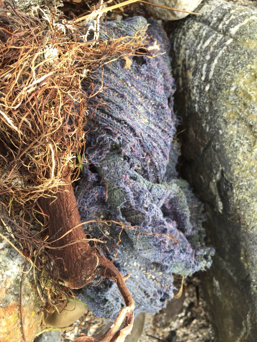 SuilanSpink's tweet photo. #everyitem #red #plasticbox #found A 15m beach cleaned each 2 weeks. We have #problem a #selection #household #fishing #Building #bagforlife #PlasticPackaging #insulationfoam #tamponapplicator #staws #GenerationSea #seasourfuture @marinescotland @sascampaigns @mcsuk @ScotGovFM https://t.co/rzWTJOjsGk