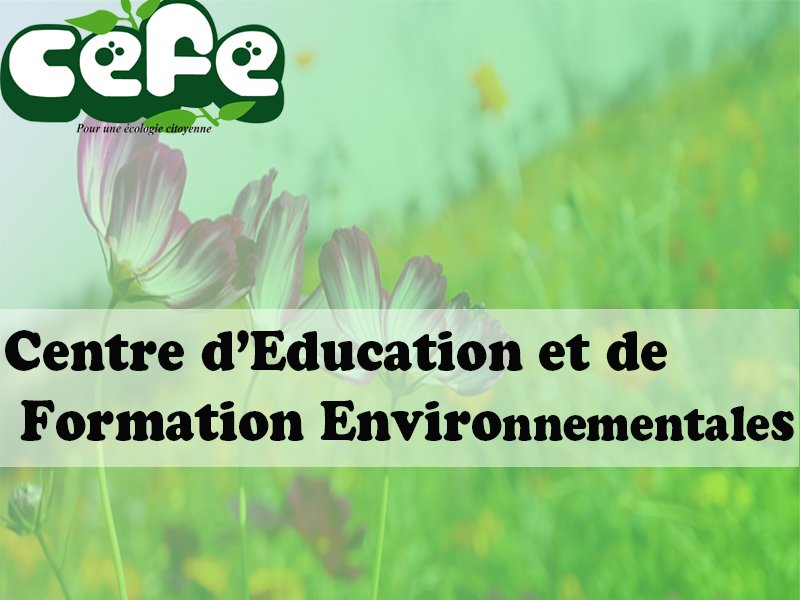 POUR BÂTIR L'ECOLE DU FUTUR OU ECOLE VERTE AVEC LE CENTRE D’ÉDUCATION ET DE FORMATION ENVIRONNEMENTALES <a href="/DuCefe/">Education et Formation Environnementales</a>