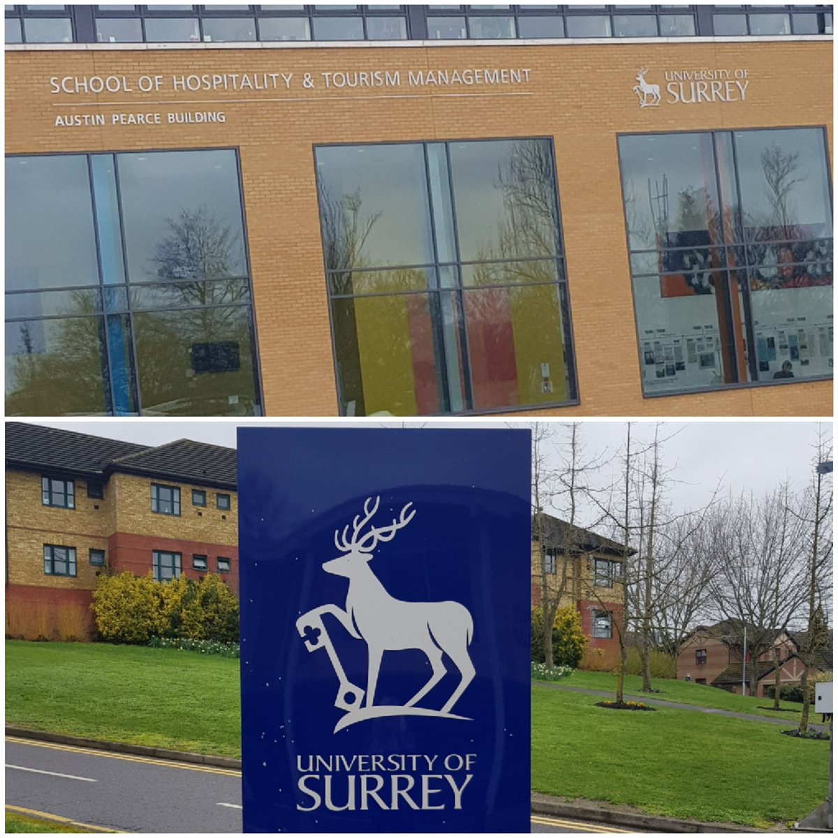 SharonDaniell's tweet image. Careers with @BaxterStorey @THESociety_Uni @UniOfSurrey @WSHGraduates #Hospitality #graduates 😀😀