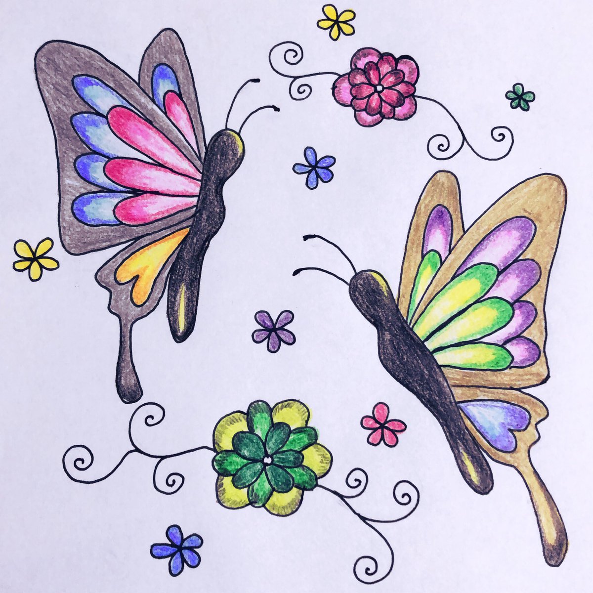 あさみ 蝶々 イラスト 絵 色鉛筆 色鉛筆画 蝶々 イラスト好きさんと繋がりたい