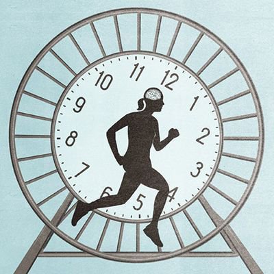 QuantaMagazine's tweet image. From the archives: The same brain cells that track location in space appear to also count beats in time. The research suggests that our thoughts may take place on a mental space-time canvas.
buff.ly/2EnLPhj