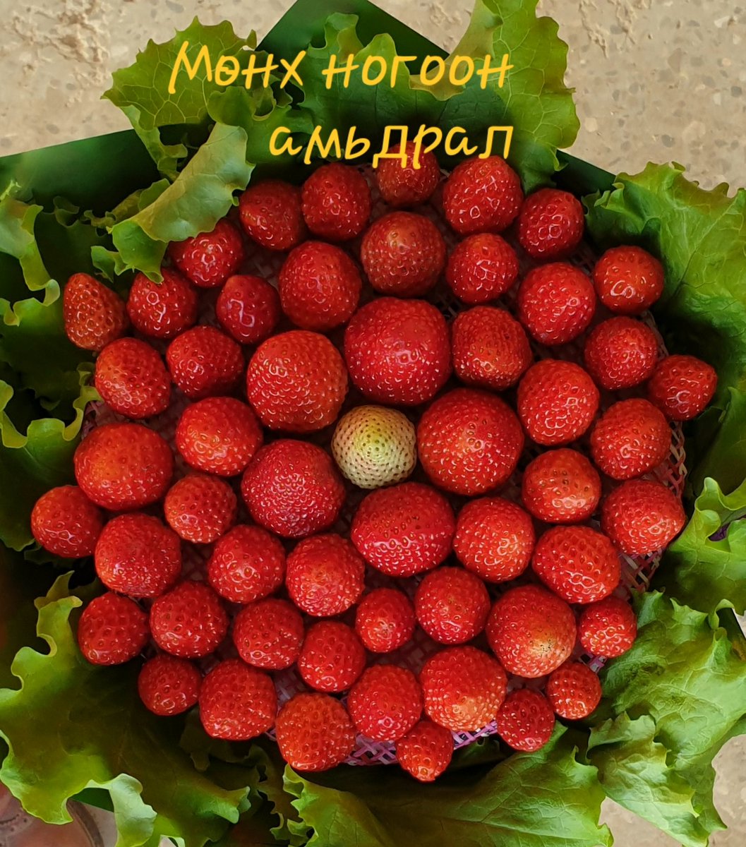 Мартын 8-нд эрчүүддээ зориулж Гүзээлзгэний баглаа гаргаж байна. /Бүсгүйчүүд мэдээгүй, хараагүй юм шиг байгаарай/