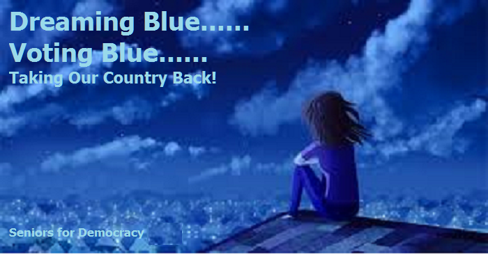 SeniorDems's tweet photo. @BryanDawsonUSA @Jersey_Craig We MUST stay focused. Ignore Polls. Keep your eye on the star! The #BlueWave2020 is returning! We will make #BlueHouse2020 #BlueSenate2020 #BluePresidency2020 as the #BlueWaveIsComingAgain & it's HUGE!!
#Resistance #TheResistance #Resist #NeverAgain #VeteransAgainstTrump ๐ง๐บ๐ธ https://t.co/PCatwjGJn1