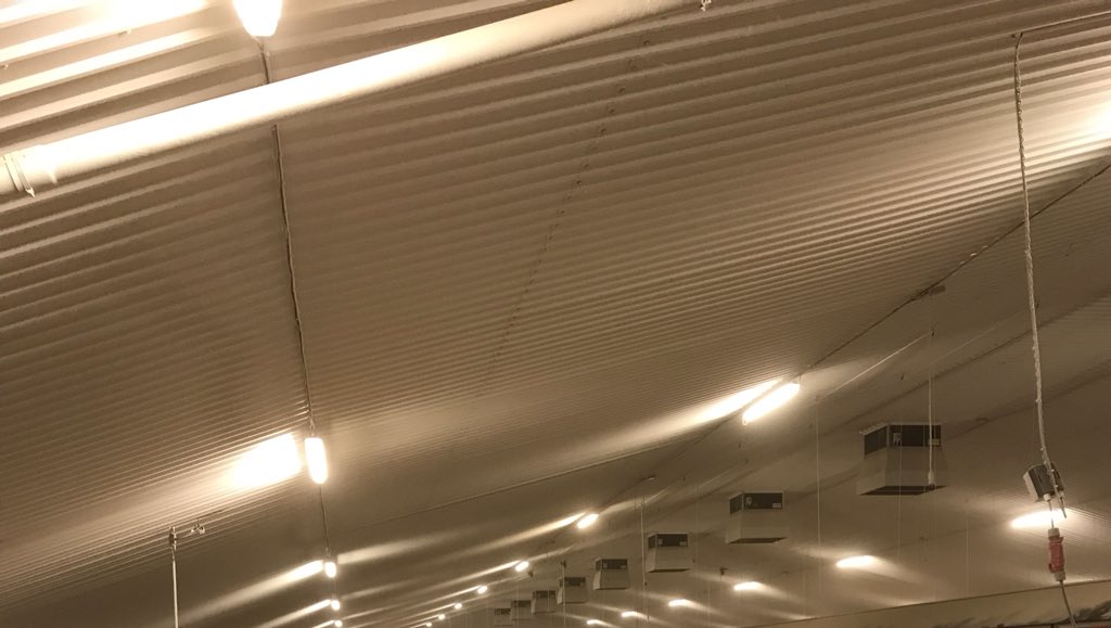 ShaunMo1's tweet photo. Finishing touches completed on our site near Wrexham #hydor #poultry #eggs #ventilation . Hydor Agri jet roof extract fans ( with black outs )  , Automatically controlled bird weighing ,ventilation,feed, lighting and alarm system that links up remotely to internet . https://t.co/9OAiZyO2gT
