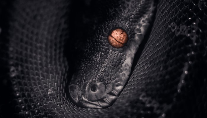 it__security's tweet image. Neuer #Python-basierter #Schadcode „MechaFlounder“ der #Hacker-Gruppe #Chafer @PaloAltoNtwks #hackers #Hacking #cyberattacks #cybercrime
it-daily.net/it-sicherheit/…