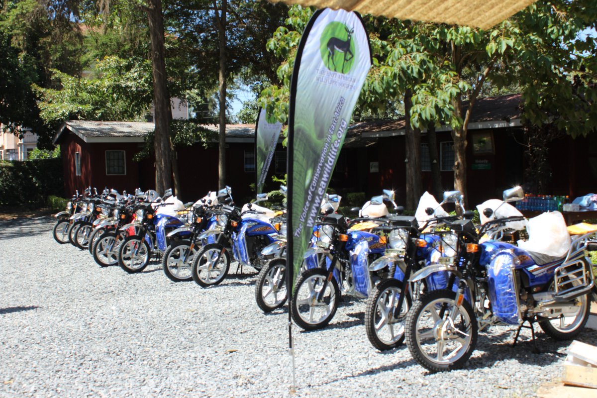 EA Wild Life Society tweet media