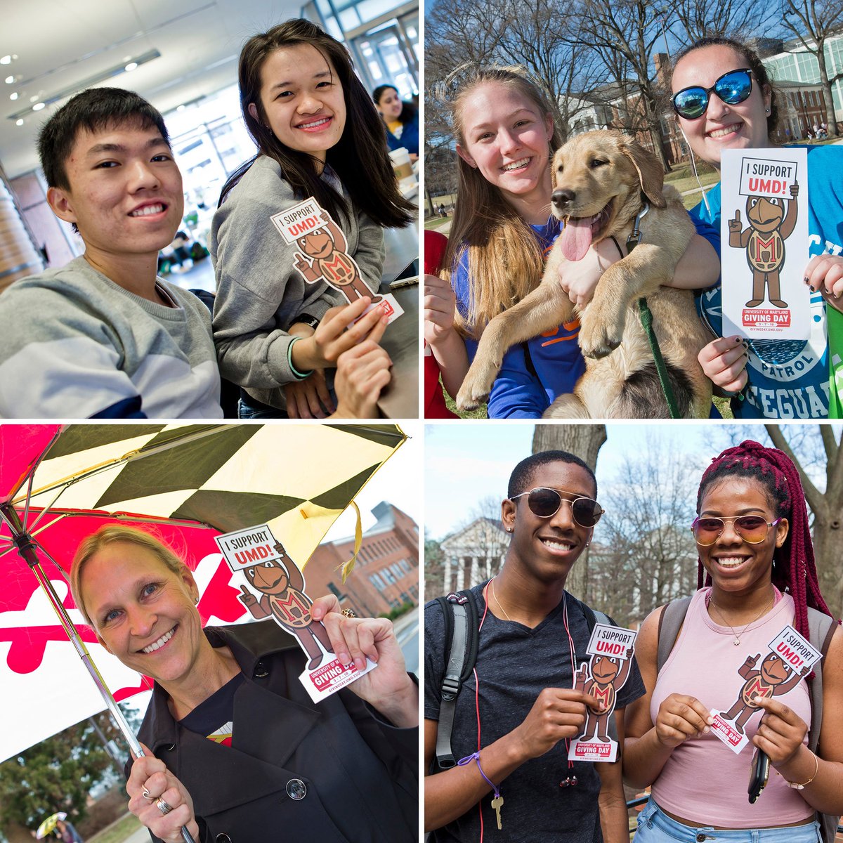 Maryland_Alumni's tweet photo. Join the fun today for Giving Day - share your Testudo selfie with #GivingDayUMD by 6pm &amp; you could win extra funds for the school or program you support! Print Testudo here: https://t.co/5oPcfbcmmP #StayFearlessUMD https://t.co/YC3enJLraV