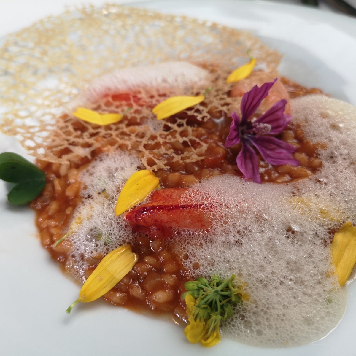 Tenemos ganas de que ya llegue la primavera. Se nota, ¿no? 😅 Estos días en el MENÚ MIGDIA... 🔔 Arroz cremoso de bogavante con hinojo y anís, teja de aceite y ensalada de hierbas aromáticas y flores. (De martes a viernes).