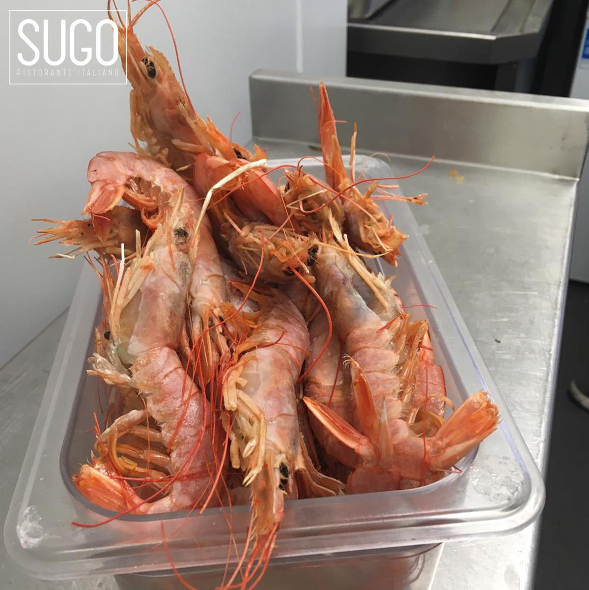 Sugo_Worcester's tweet photo. DELIVERY! We've just had a delivery of our beautifully fresh prawns! Why not join us this lunch and enjoy something a little more special?
#WorcestershireHour #Worcester #Tything #FriarStreet #Fish #Fresh #Homecooked #Traditional #Italian #Authentic #Delivery https://t.co/XIuemhxN83
