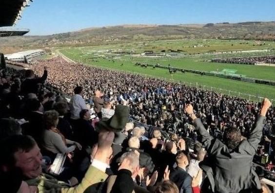 Tap ❤ if you can't wait for the Cheltenham Festival.

📺 You can watch every live race here with us! 

#Cheltenham