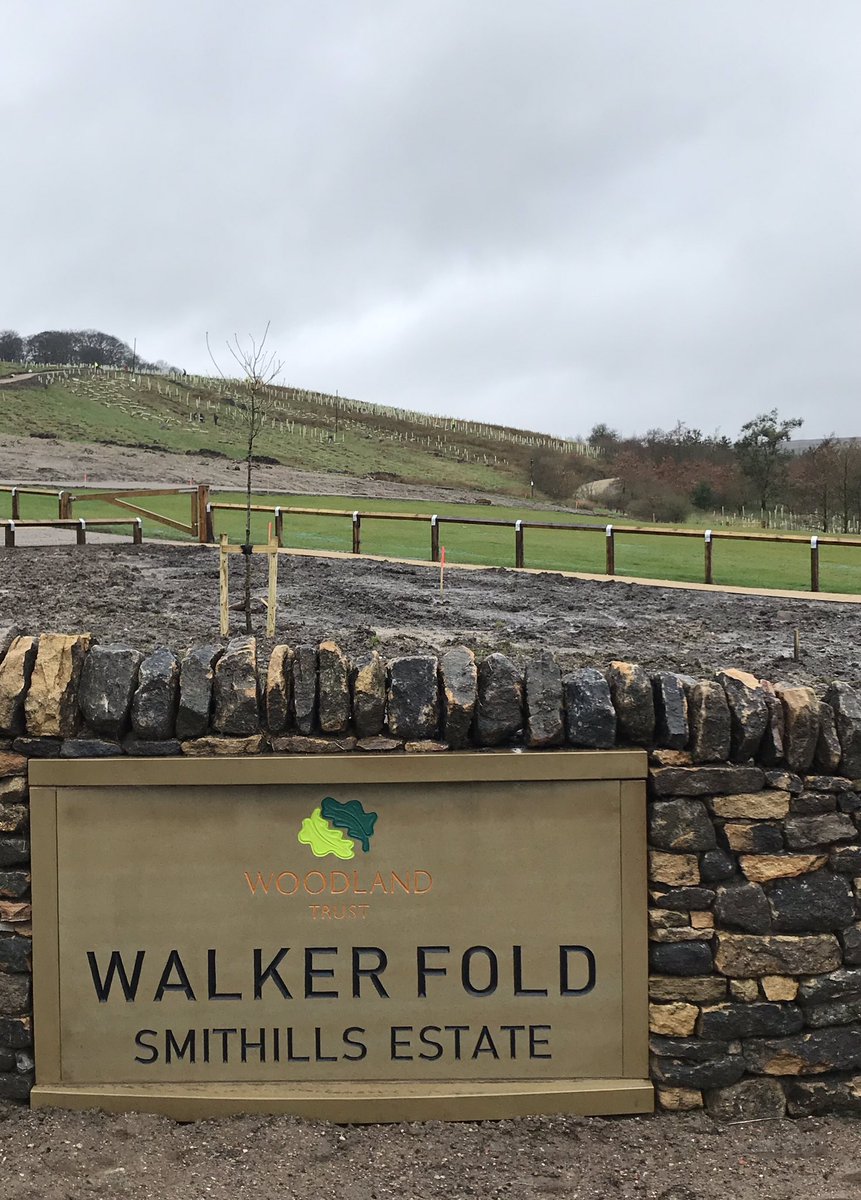 Chris Lewis tweet media