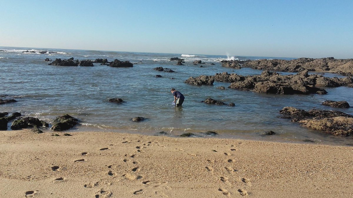 SpillessProject's tweet photo. #SpilLess organized 52 sampling campaigns in Portugal and Spain, including coastal and offshore sites. 

In these campaigns, team members were responsible to collect seawater to perform biodegradation experiments and to isolate bacteria, but also to collect various data on-site. https://t.co/AJP5Fg4xZG