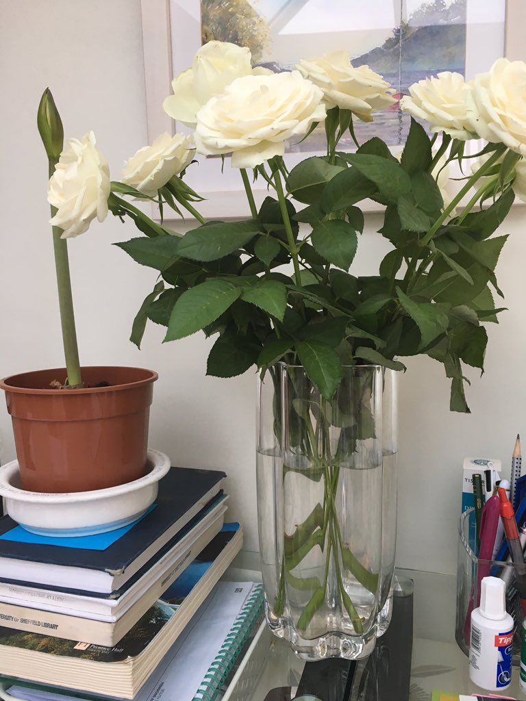 <a href="/firstphdchat/">#phdchat</a> #phdlife perfect conditions for focus = roses to look at, a quiet office &amp; raining outside  ☔️