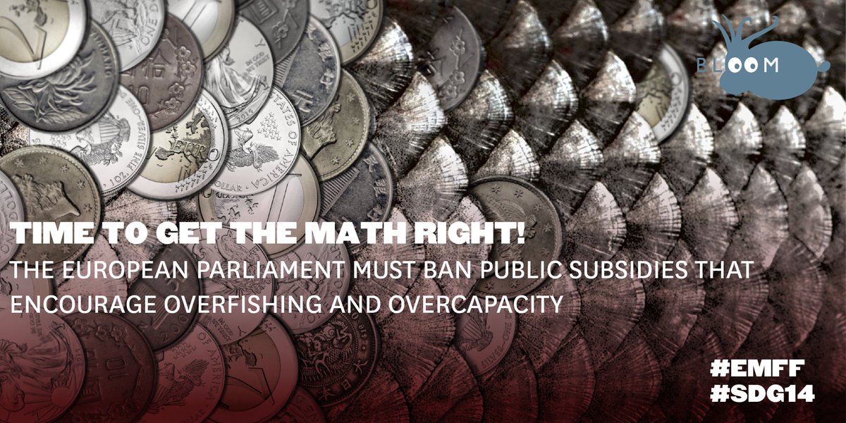 BLOOM Association tweet media