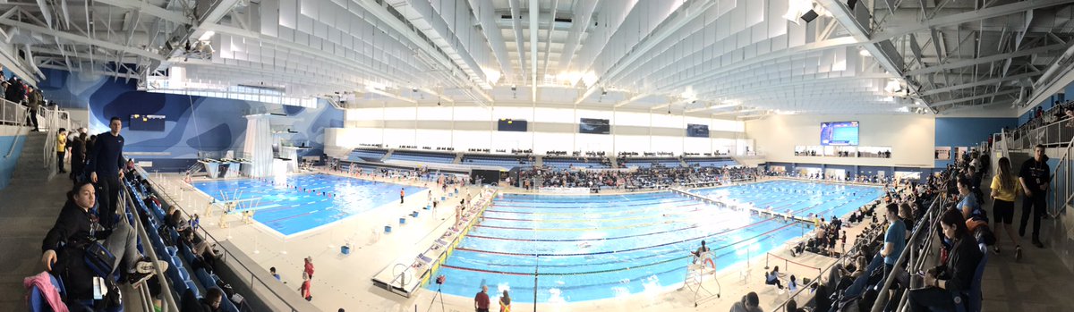monsourd's tweet photo. So you can see its impressiveness .... here is the pan am pool in Scarborough ... pretty awesome @FSSAthletics1 @FSSFieldnTrack @fastride @FSSprops @FSS_Principal @FSSSwim_LDSB GO FALCONS GO https://t.co/6bt7aZFCK0